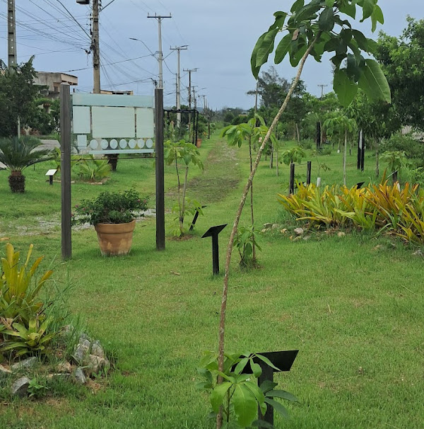 Foto 1 Jardimrosaspa