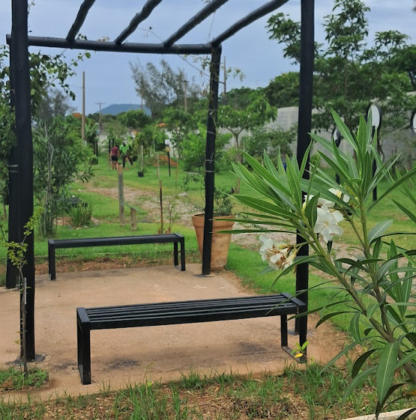 Foto 2 Jardimrosaspa