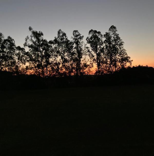 Foto 1 CAMPO DO CRUZ