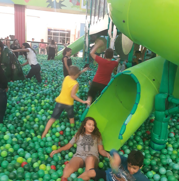 Foto 2 Park Kids - Casa da Árvore