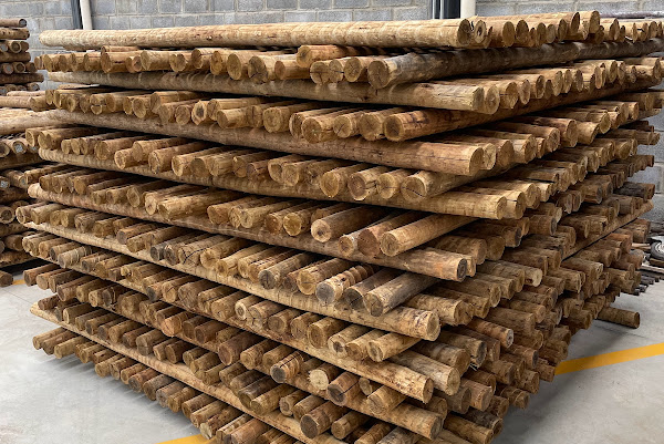 Foto 2 Proeco Tratamento e Comércio de Madeira