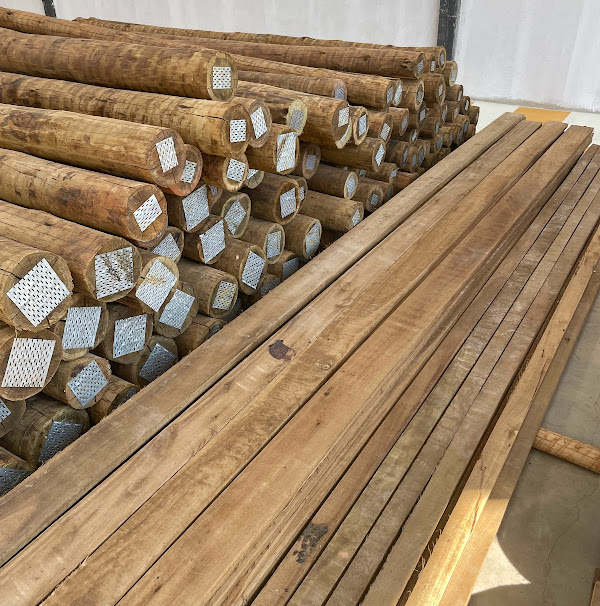 Foto 3 Proeco Tratamento e Comércio de Madeira