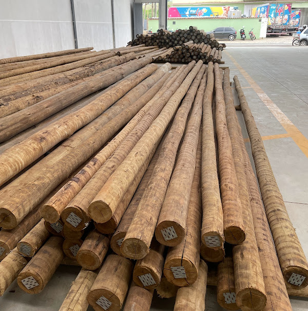 Foto 5 Proeco Tratamento e Comércio de Madeira