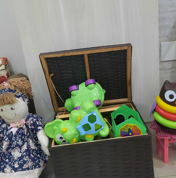 Foto 3 Luciana Corrêa Ribeiro Sabbo