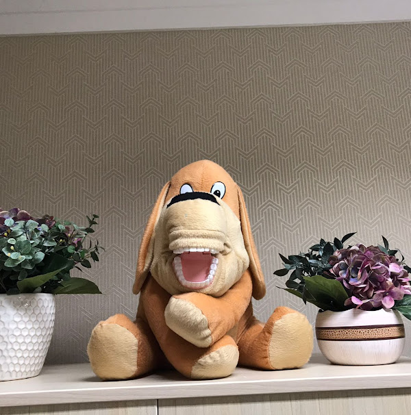 Foto 5 Luciana Corrêa Ribeiro Sabbo