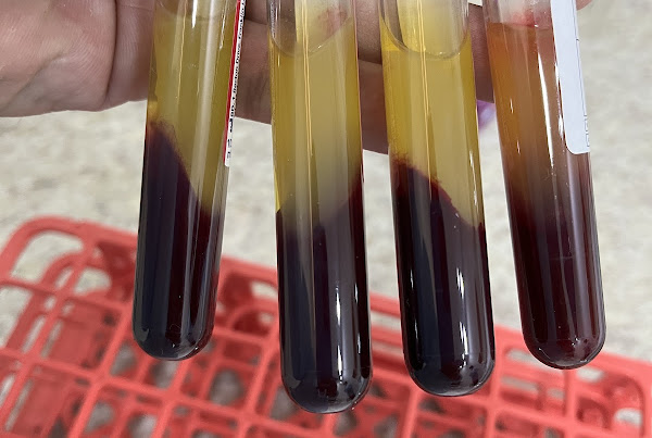 Foto 1 Dr. Ricardo Marum - Odontologia