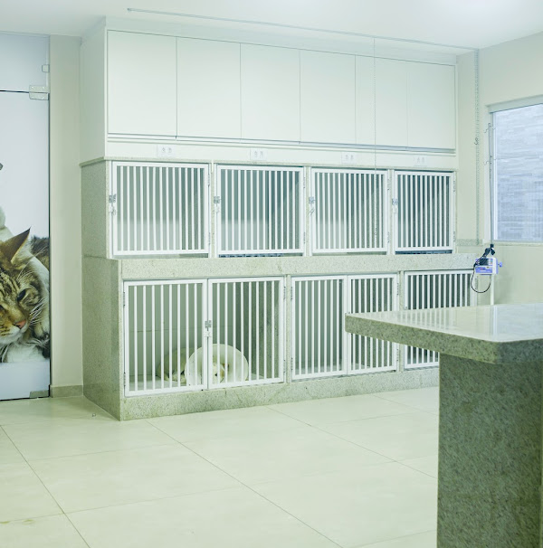 Foto 4 Veterinária São Francisco Muriaé