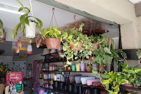 Foto 1 Nações AgroPet