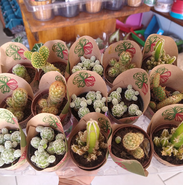 Foto 4 Nações AgroPet Foto 4 Nações AgroPet