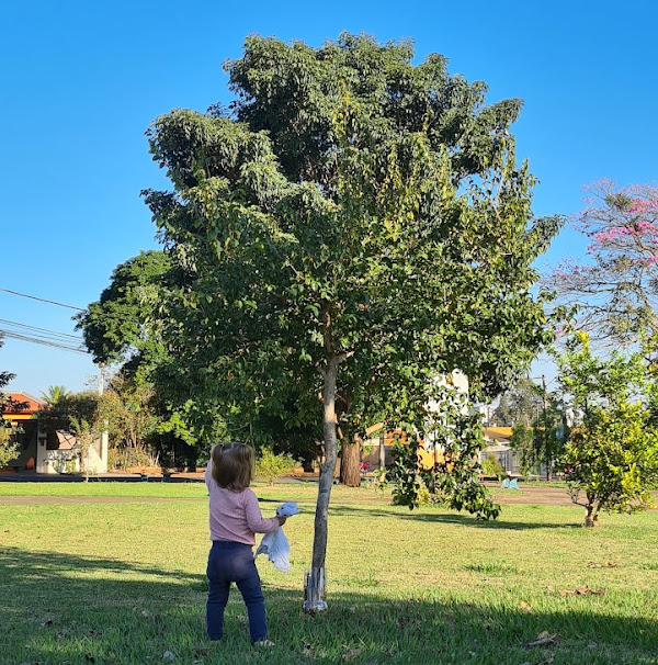 Foto 1 Praça Mário Santos Soares