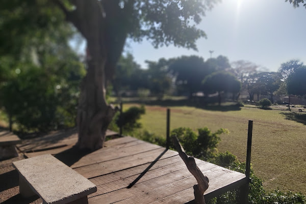 Foto 1 Praça Kennedy Foto 1 Praça Kennedy