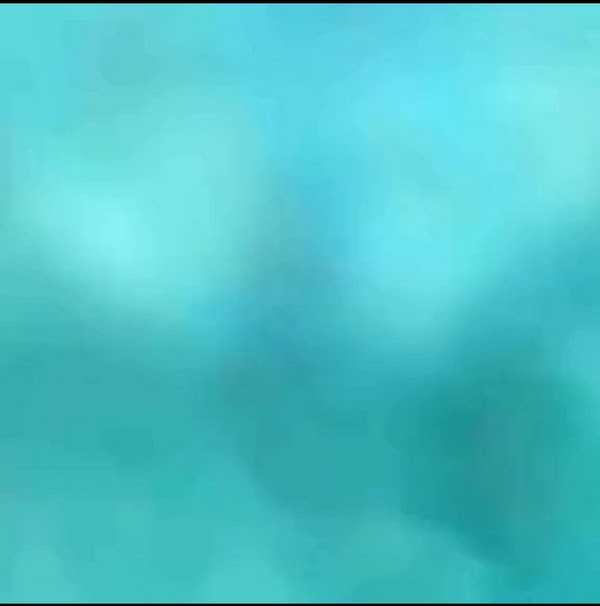 Foto 1 D''Alice Shoes