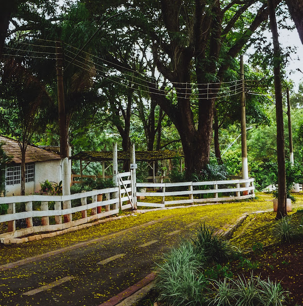 Foto 1 Fapi - Ourinhos