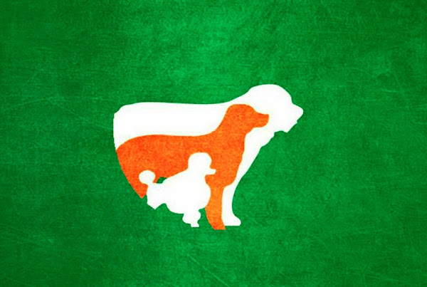 Hotel Creche Amigo fiel