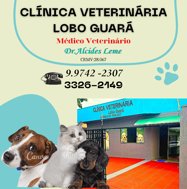 Foto 1 Clinica Veterinária Lobo Guará (Dr. Alcides Leme)