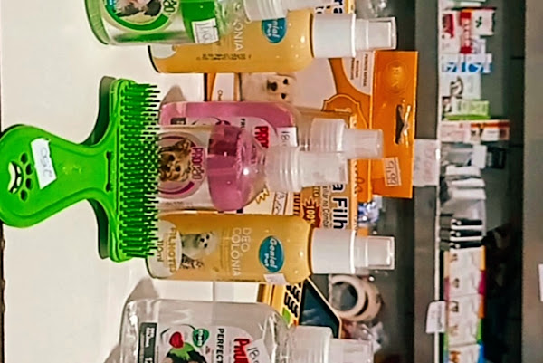 Foto 1 Casa cheirosa Foto 1 Casa cheirosa