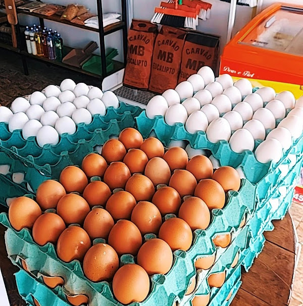 Foto 3 Empório Mendes