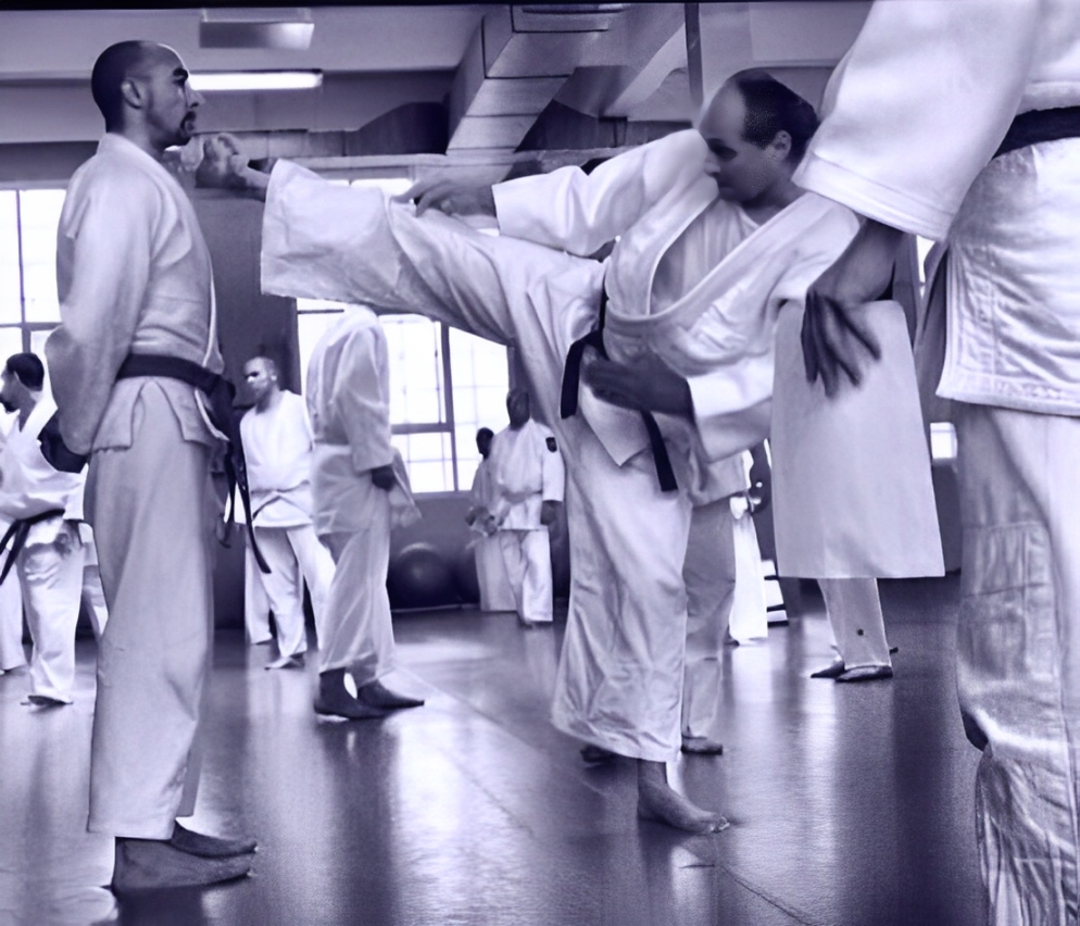 Foto 3 Krav Maga Porto Alegre, Escola do Menino Deus