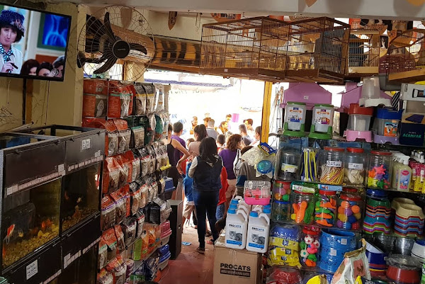 Foto 2 Agropecuaria Rio Jordao Matriz Foto 2 Agropecuaria Rio Jordao Matriz