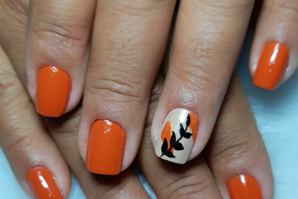 Foto 3 Salão e Barbearia Evans