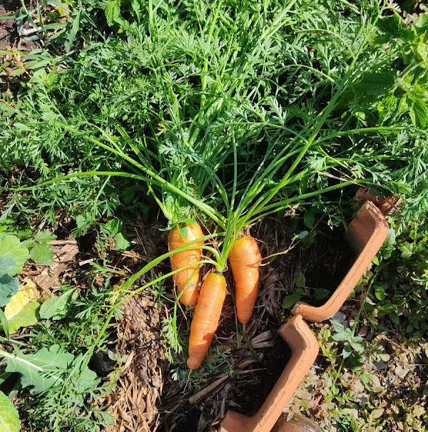 Foto 1 Chácara do Marcos