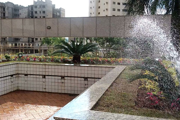 Foto 1 Flores jardim