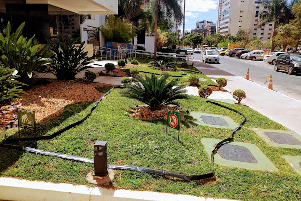 Foto 2 Flores jardim