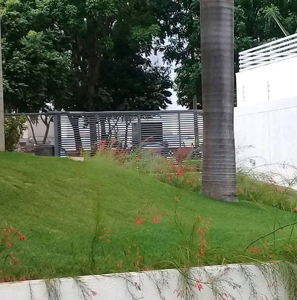 Foto 3 Flores jardim Foto 3 Flores jardim