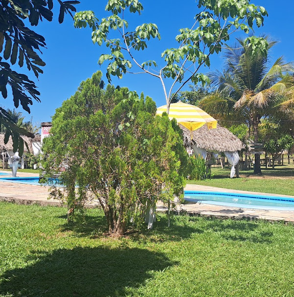 Foto 2 Restaurante Minha Fazenda