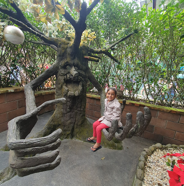 Foto 1 Fantástica Floresta - Trenzinho