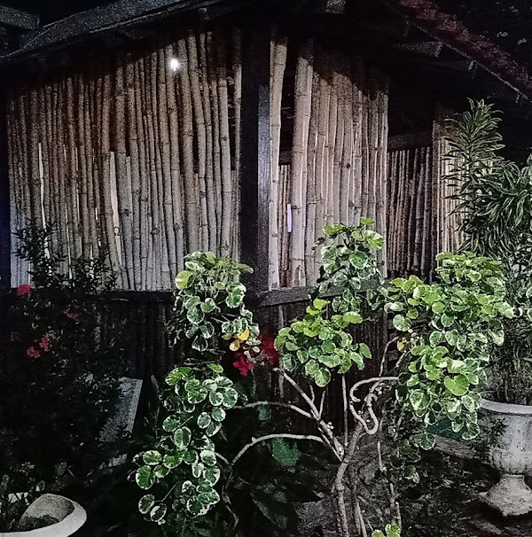 Foto 2 Comunidade Diante da Cruz Foto 2 Comunidade Diante da Cruz