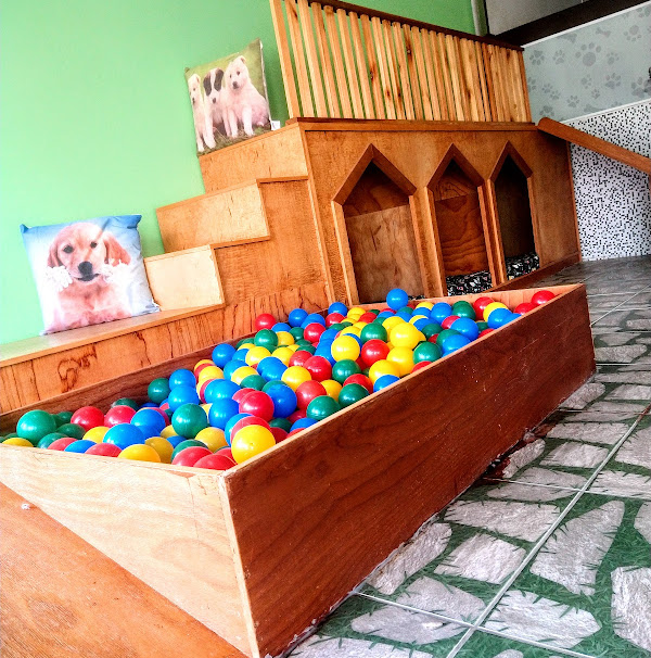 Pet Colosso Banho e Tosa