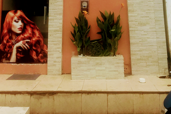 Foto 1 Studio Lucivan Lima