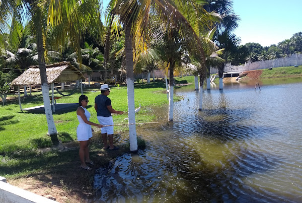 Restaurante São Francisco - Pesque & Pague