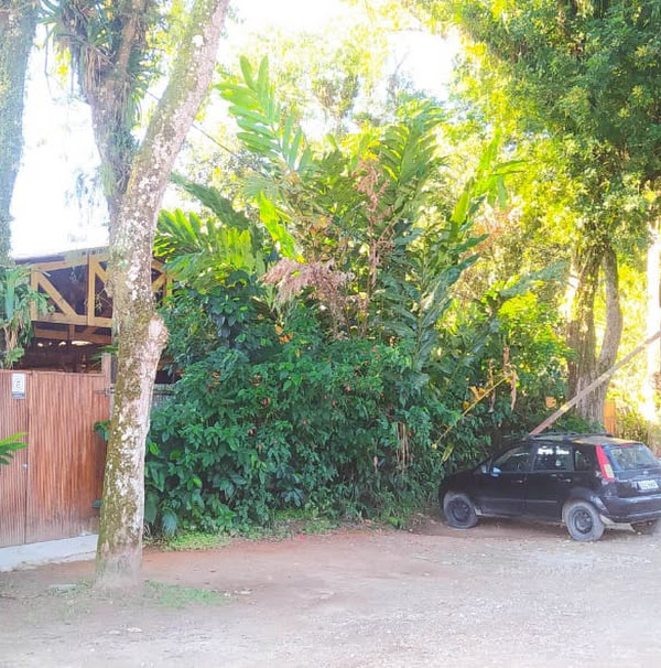 Foto 3 oficina de marcenaria