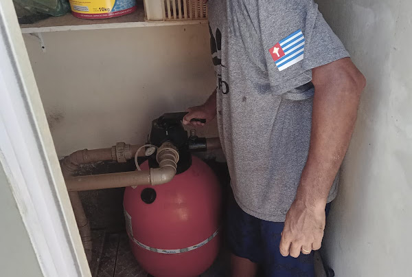 Piscina Limpa - Miro e Hamilton