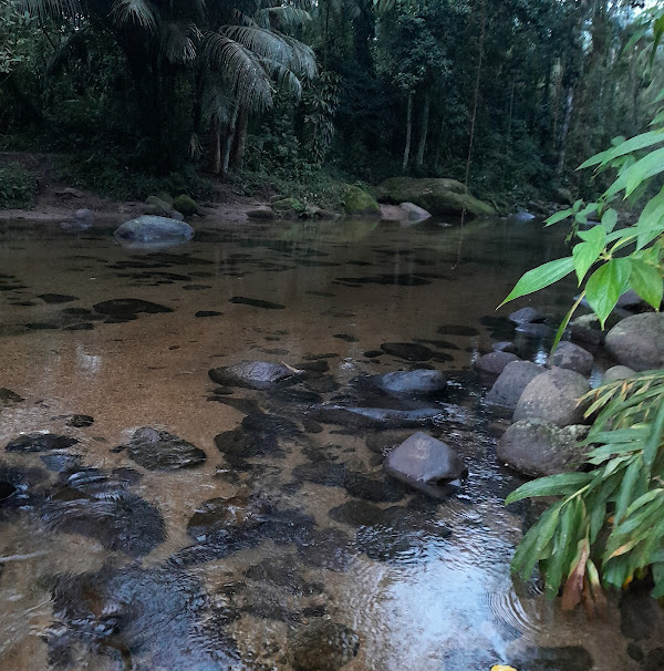 Foto 1 Rancho do Cedro