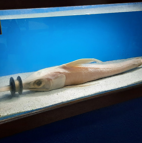 Foto 3 Aqualoja - Aquário de Ubatuba