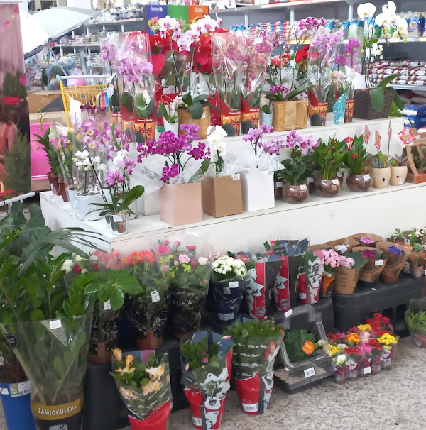 Foto 2 Mercado Garotão Lagoinha