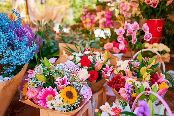 Foto 0 Floricultura Casa e Jardim flores