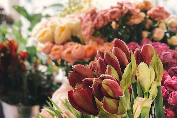 Foto 1 Floricultura Casa e Jardim flores