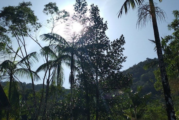 Foto 2 Chácara Granfino