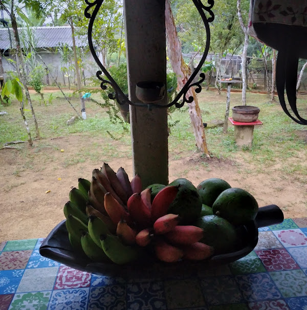 Foto 3 Chácara Granfino