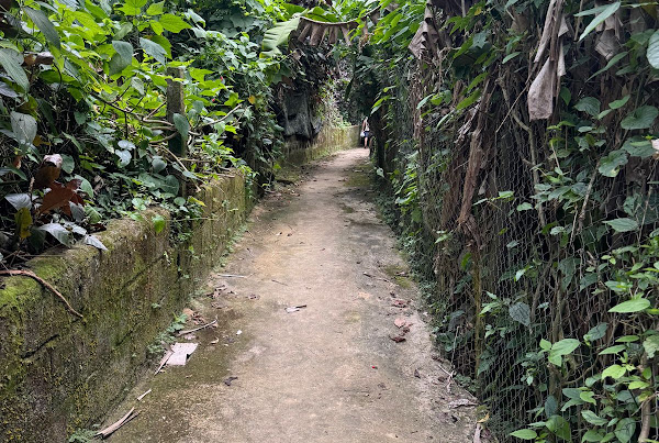Trilha para Praia das Sete Fontes