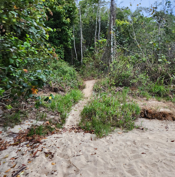 Foto 1 Pedra da Baleia