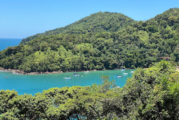 Trilha para Praia do Flamengo