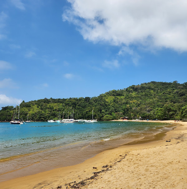 Foto 2 Trilha para Praia do Flamengo Foto 2 Trilha para Praia do Flamengo
