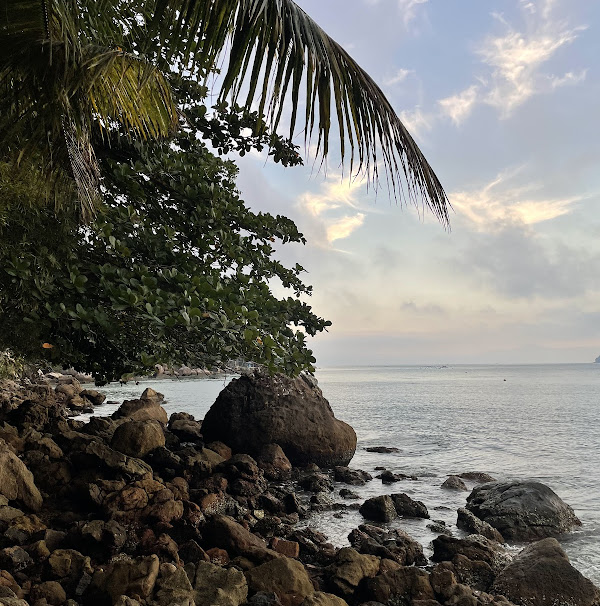 Foto 3 Trilha p/ Praia de Fora Foto 3 Trilha p/ Praia de Fora