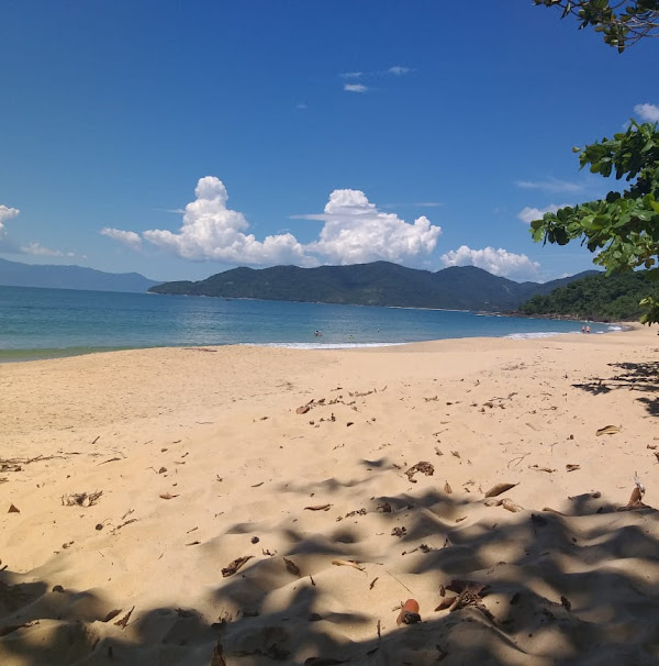 Foto 2 Trilha da Praia Grande do Bonete