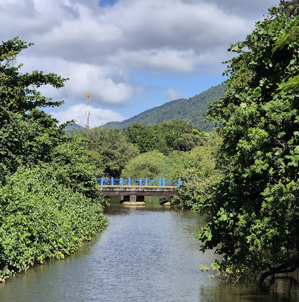 Ponte Juliana F. Cunha